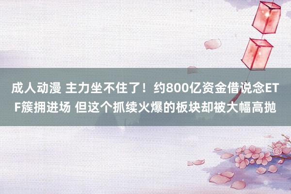 成人动漫 主力坐不住了！约800亿资金借说念ETF簇拥进场 但这个抓续火爆的板块却被大幅高抛