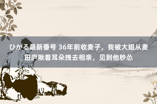 ひかる最新番号 36年前收麦子，我被大姐从麦田庐揪着耳朵拽去相亲，见到他秒怂