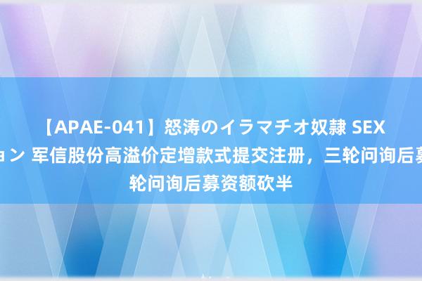 【APAE-041】怒涛のイラマチオ奴隷 SEXコレクション 军信股份高溢价定增款式提交注册，三轮问询后募资额砍半