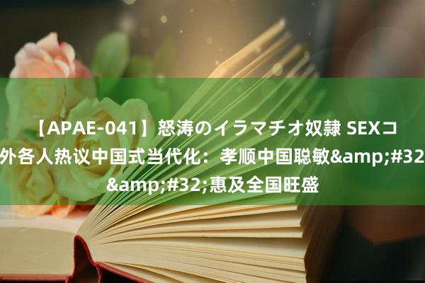 【APAE-041】怒涛のイラマチオ奴隷 SEXコレクション 国外各人热议中国式当代化：孝顺中国聪敏&#32;惠及全国旺盛