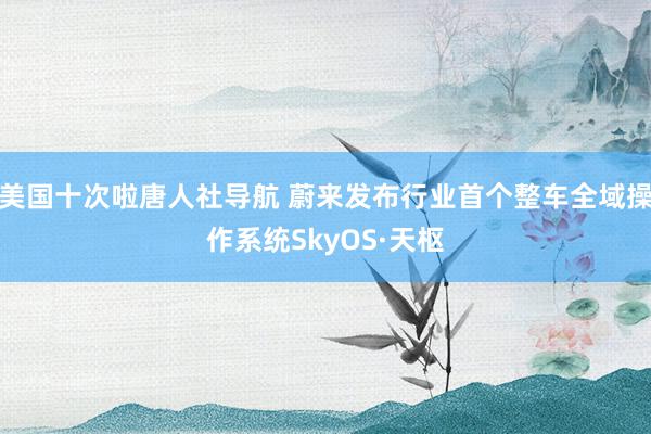 美国十次啦唐人社导航 蔚来发布行业首个整车全域操作系统SkyOS·天枢