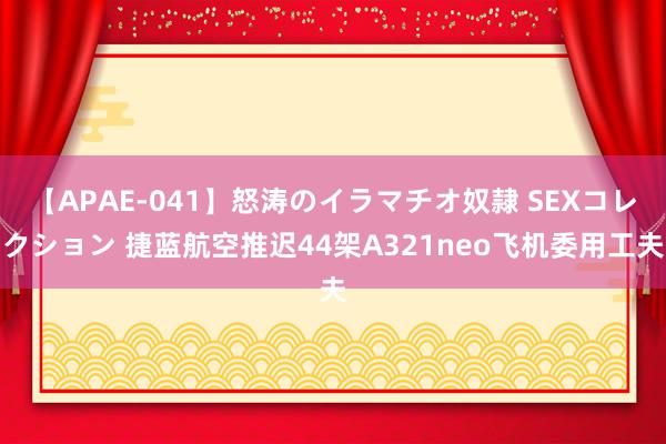 【APAE-041】怒涛のイラマチオ奴隷 SEXコレクション 捷蓝航空推迟44架A321neo飞机委用工夫