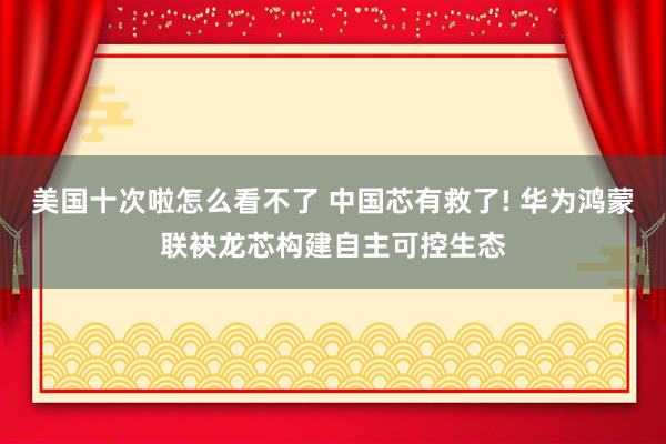 美国十次啦怎么看不了 中国芯有救了! 华为鸿蒙联袂龙芯构建自主可控生态