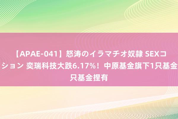 【APAE-041】怒涛のイラマチオ奴隷 SEXコレクション 奕瑞科技大跌6.17%！中原基金旗下1只基金捏有