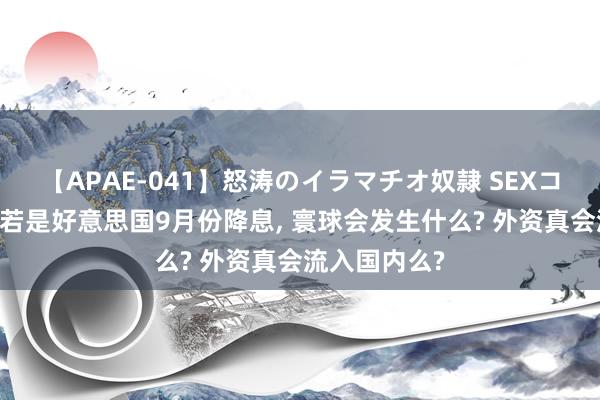 【APAE-041】怒涛のイラマチオ奴隷 SEXコレクション 若是好意思国9月份降息, 寰球会发生什么? 外资真会流入国内么?