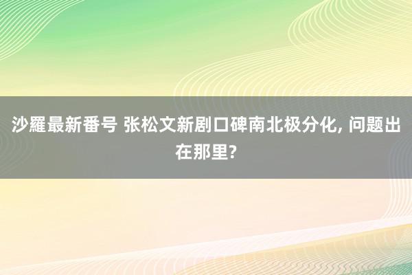 沙羅最新番号 张松文新剧口碑南北极分化, 问题出在那里?