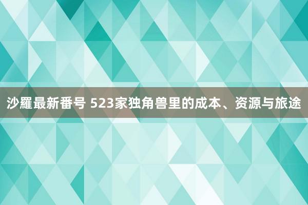 沙羅最新番号 523家独角兽里的成本、资源与旅途