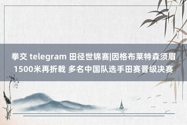 拳交 telegram 田径世锦赛|因格布莱特森须眉1500米再折戟 多名中国队选手田赛晋级决赛