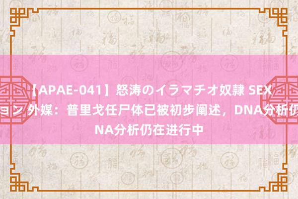 【APAE-041】怒涛のイラマチオ奴隷 SEXコレクション 外媒：普里戈任尸体已被初步阐述，DNA分析仍在进行中