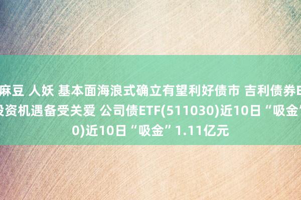 麻豆 人妖 基本面海浪式确立有望利好债市 吉利债券ETF三剑客投资机遇备受关爱 公司债ETF(511030)近10日“吸金”1.11亿元