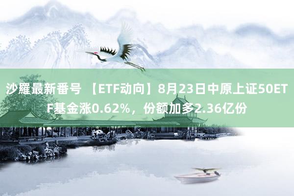 沙羅最新番号 【ETF动向】8月23日中原上证50ETF基金涨0.62%，份额加多2.36亿份