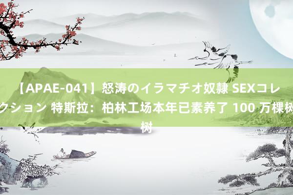 【APAE-041】怒涛のイラマチオ奴隷 SEXコレクション 特斯拉：柏林工场本年已素养了 100 万棵树