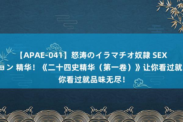 【APAE-041】怒涛のイラマチオ奴隷 SEXコレクション 精华！《二十四史精华（第一卷）》让你看过就品味无尽！