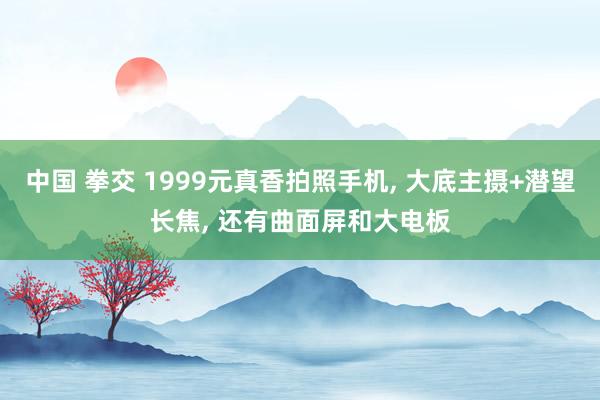 中国 拳交 1999元真香拍照手机, 大底主摄+潜望长焦, 还有曲面屏和大电板