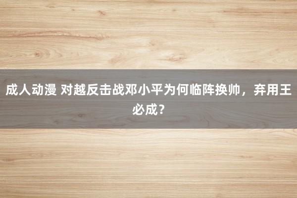 成人动漫 对越反击战邓小平为何临阵换帅，弃用王必成？